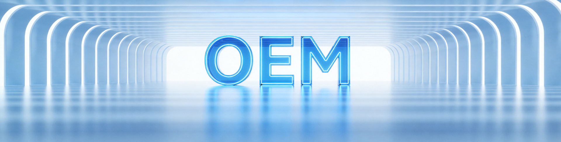 OEM定制